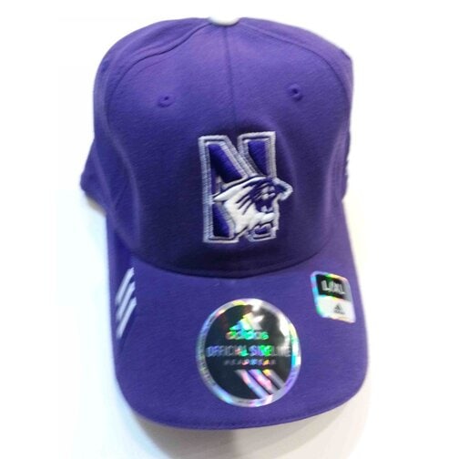 Northwestern Wildcats Alternate Black with Cat Schutt Full